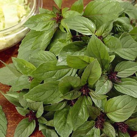 Basil Mexican Spice Cinnamon