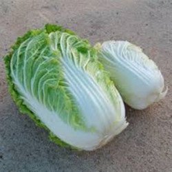 Chinese Cabbage Napa Goblet
