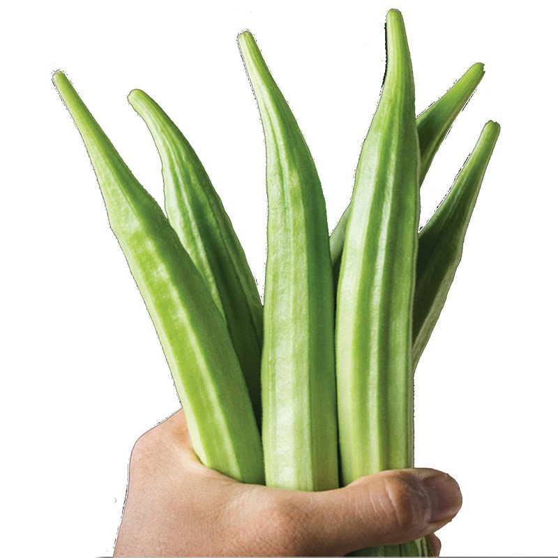 Okra Perkins Mammoth