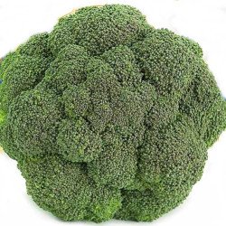 Broccoli Solstice