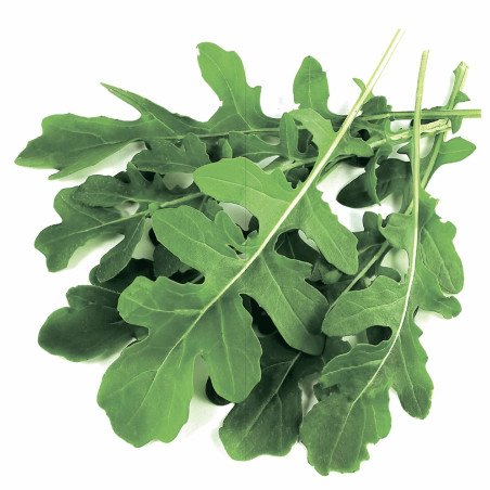 Arugula Ortolani