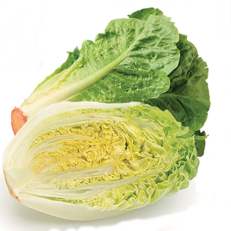 Romaine Cos Lettuce Ballon