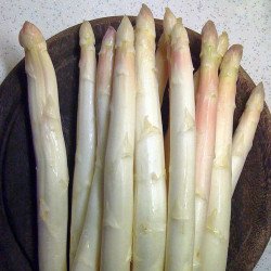 Asparagus Ruhm Von Braunschweig
