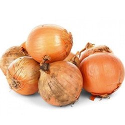Onion Gibraltar