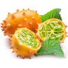 Horned Melon