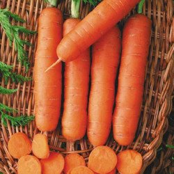 Морковь Столовая Без Сердцевины