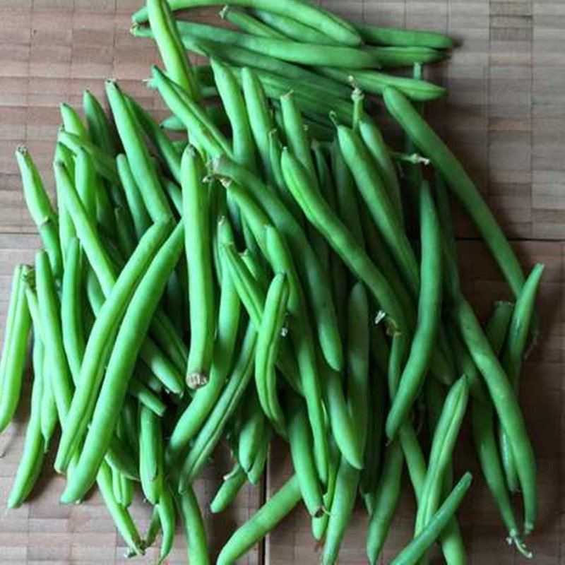 Bush Beans Croper Tipi