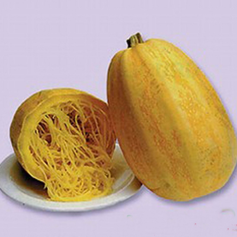 Кабачок Спагетті Равіоло