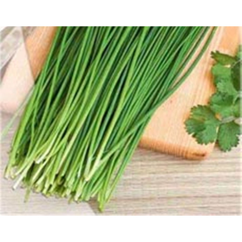 Шнітт Цибуля