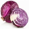 Red Cabbage Rufus