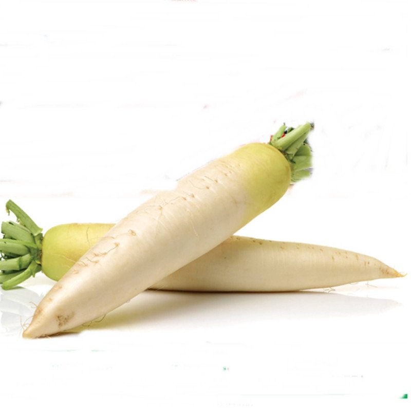 Daikon Kumamoto