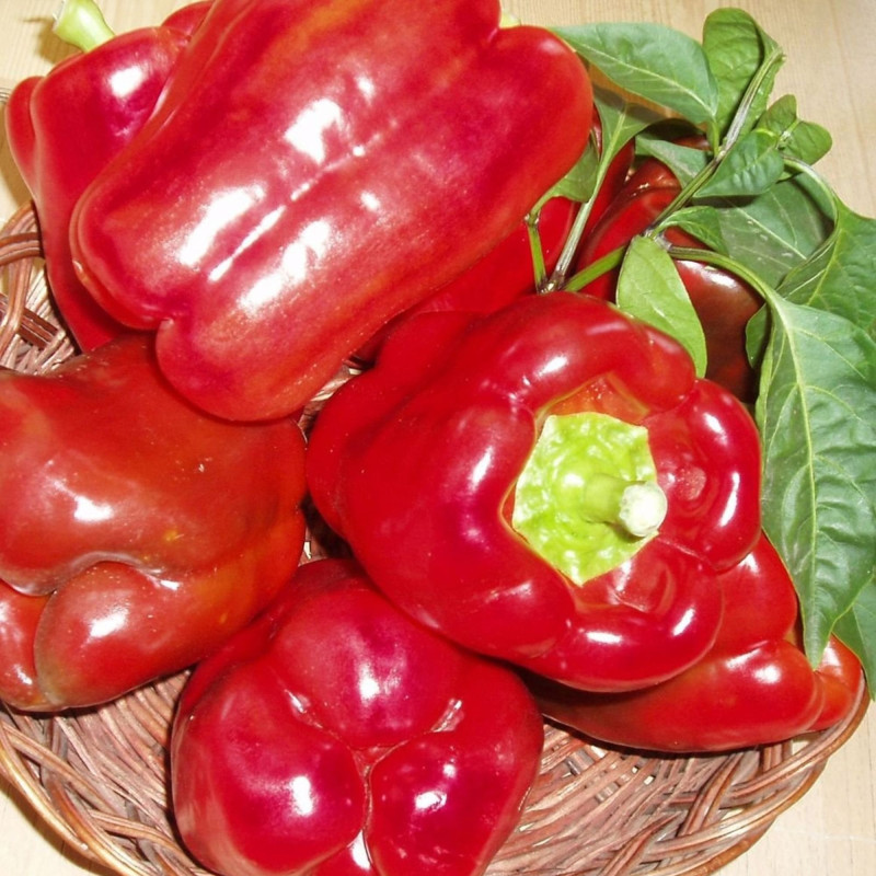 Перець солодкий Паланська Бабура