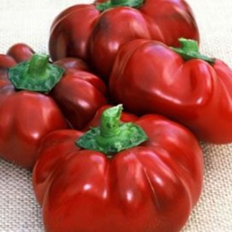 Перець солодкий Ратунда червона