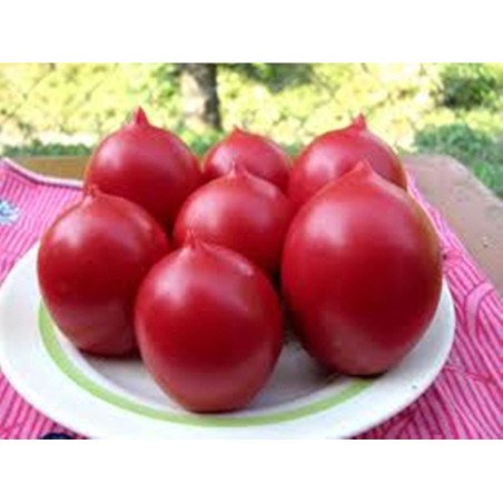 Tomato De Barao Royal Pink
