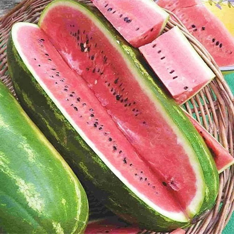 Кавун Шираз