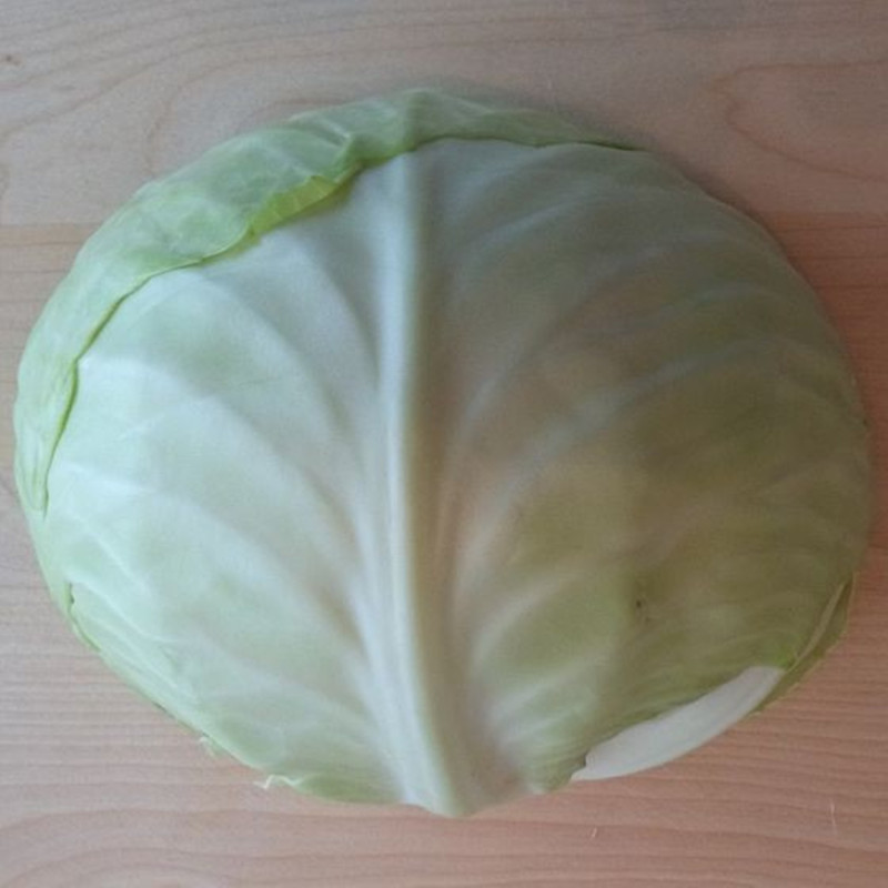 Капуста білоголова
