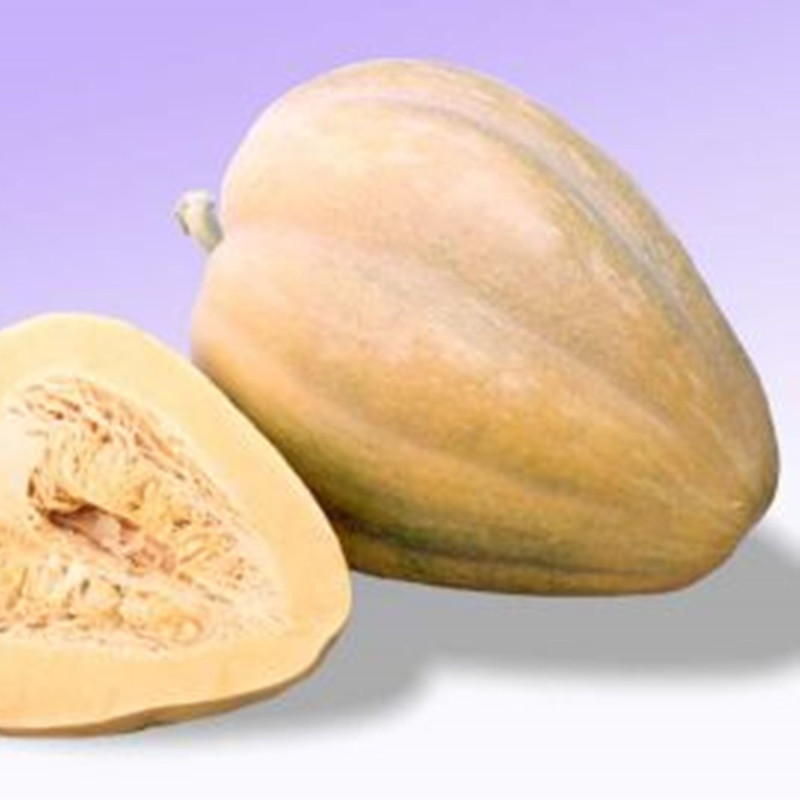 Гарбуз Диво