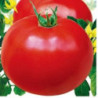 Томат Фієста