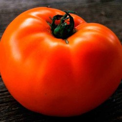 Tomato Red Persimmon