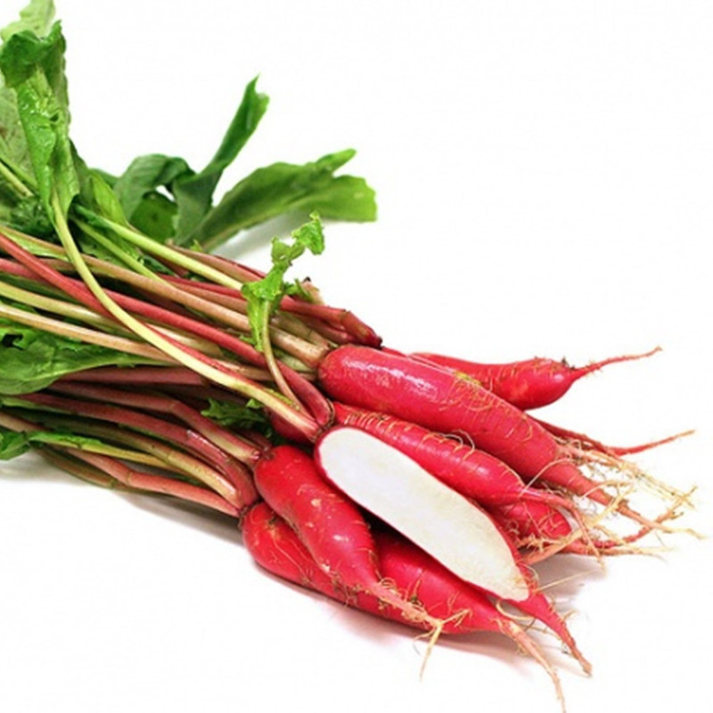 Дайкон Шунько середньо-довгий