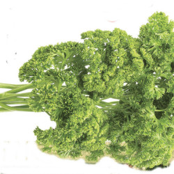 Кервель Подвійний фриз