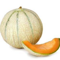 Melon Cantaloupe Sharente F1