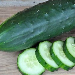 Cucumber Early Fortune