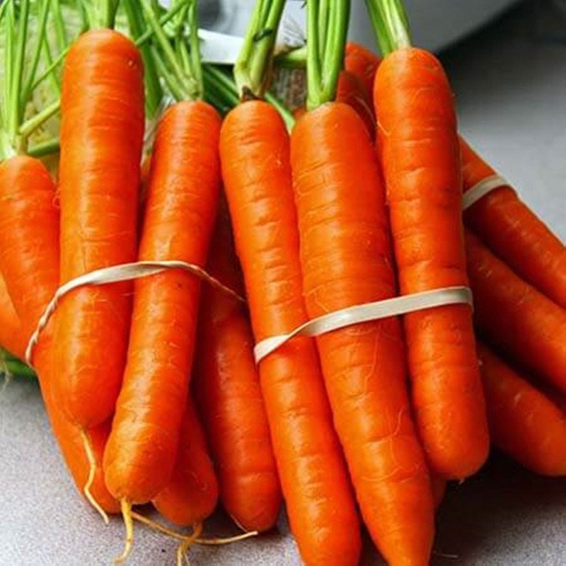 Carrot Dance on Fire