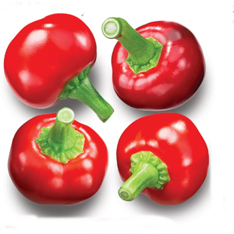 Перець гострий Кіраз Кумра