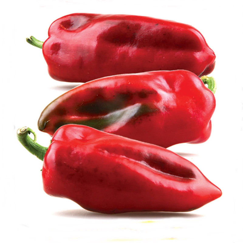 Перець солодкий Паланачко диво