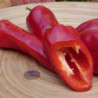 Перець солодкий Червоний Аугсбург