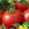 Tomato Granule
