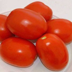 Tomato Arabesque