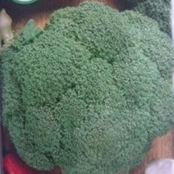 Broccoli Sebastian