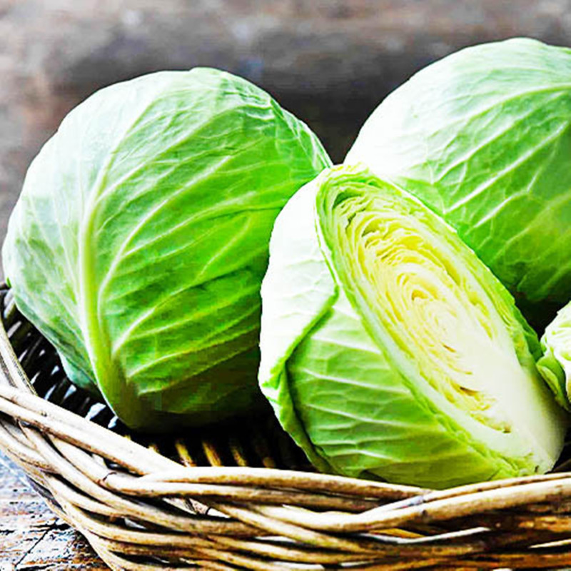 Капуста білоголова