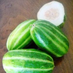 Cucumber Muskmelon Carosello di Gravina