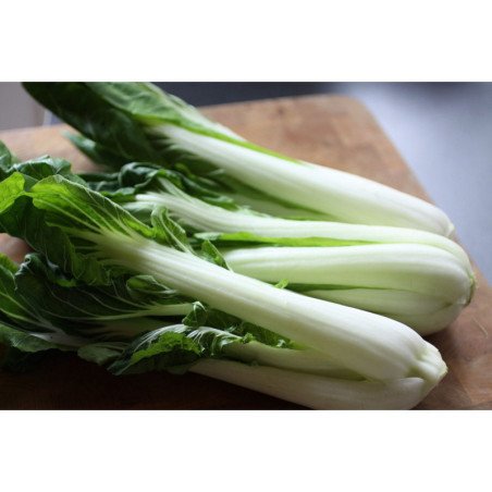 Chinese Chard Pak Choi