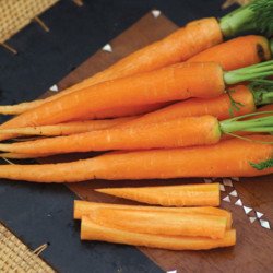 Carrot Rodelika
