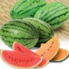 Watermelon Sherbet Mix