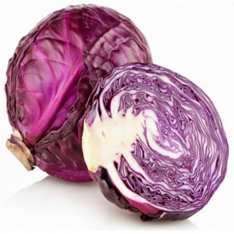 Red Cabbage Rufus