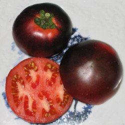 Tomato Red Charcoal