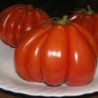 Tomato Etual
