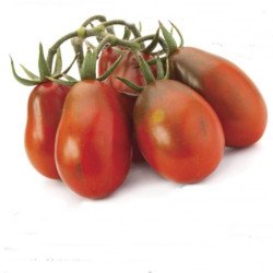 Tomato Danube