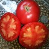 Tomato Vesenniye Zamorozky