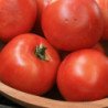 Tomato Heinz 1350