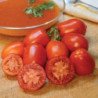 Tomato Heinz 2653