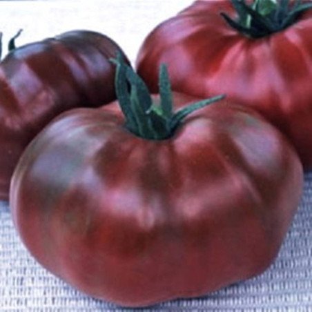 Tomato Vorlon