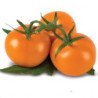 Tomato Mandarin