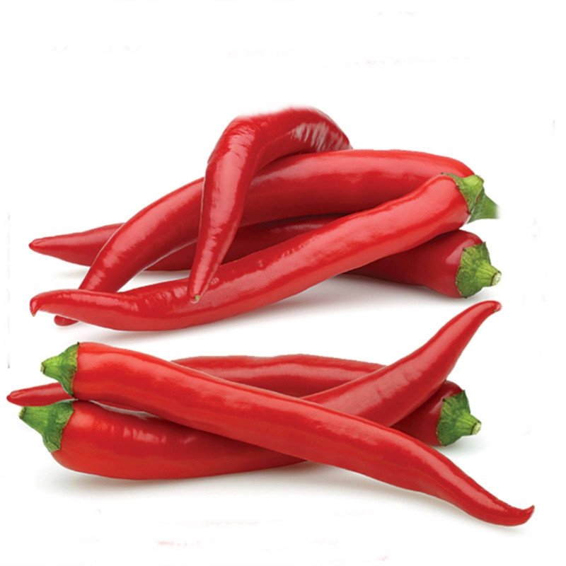 Chili Pepper Mombasa