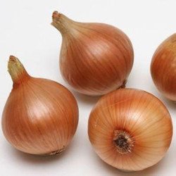 Onion Hlobus